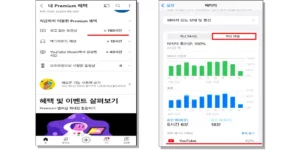 유튜브 프리미엄 사용하면서 사용량이 늘어난 것을 보여주는 통계 자료.