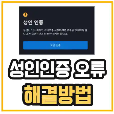 디즈니플러스 성인인증 방법 및 디즈니플러스 성인인증 오류 해결 방법에 관련된 섬네일