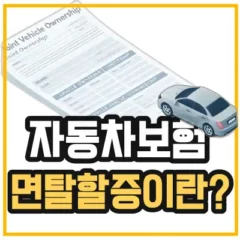 차량 공동명의 보험을 든 사람들 중에 명의를 변경할때 면탈할증에 걸리는 사람들이 있다 그것을 알려주는 섬네일